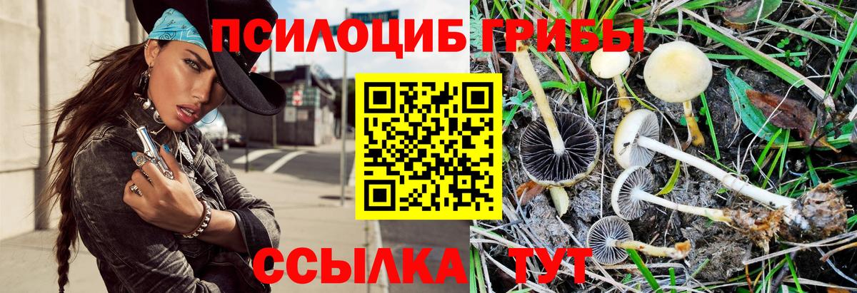 Псилоцибиновые грибы ЛСД Саров
