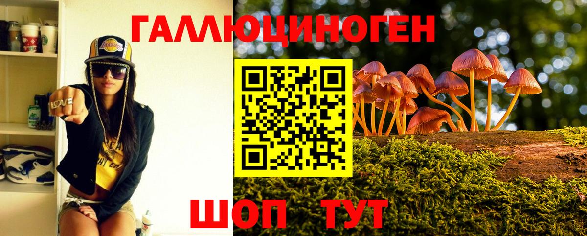 Галлюциногенные грибы мухоморы  Вход с VPN  Саров 