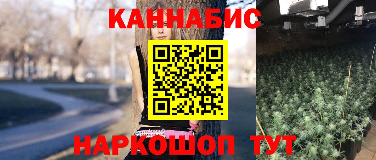 Саров  Бошки Шишки семена  Вход с VPN  Шишки марихуана OG Kush  Бошки Шишки индика 